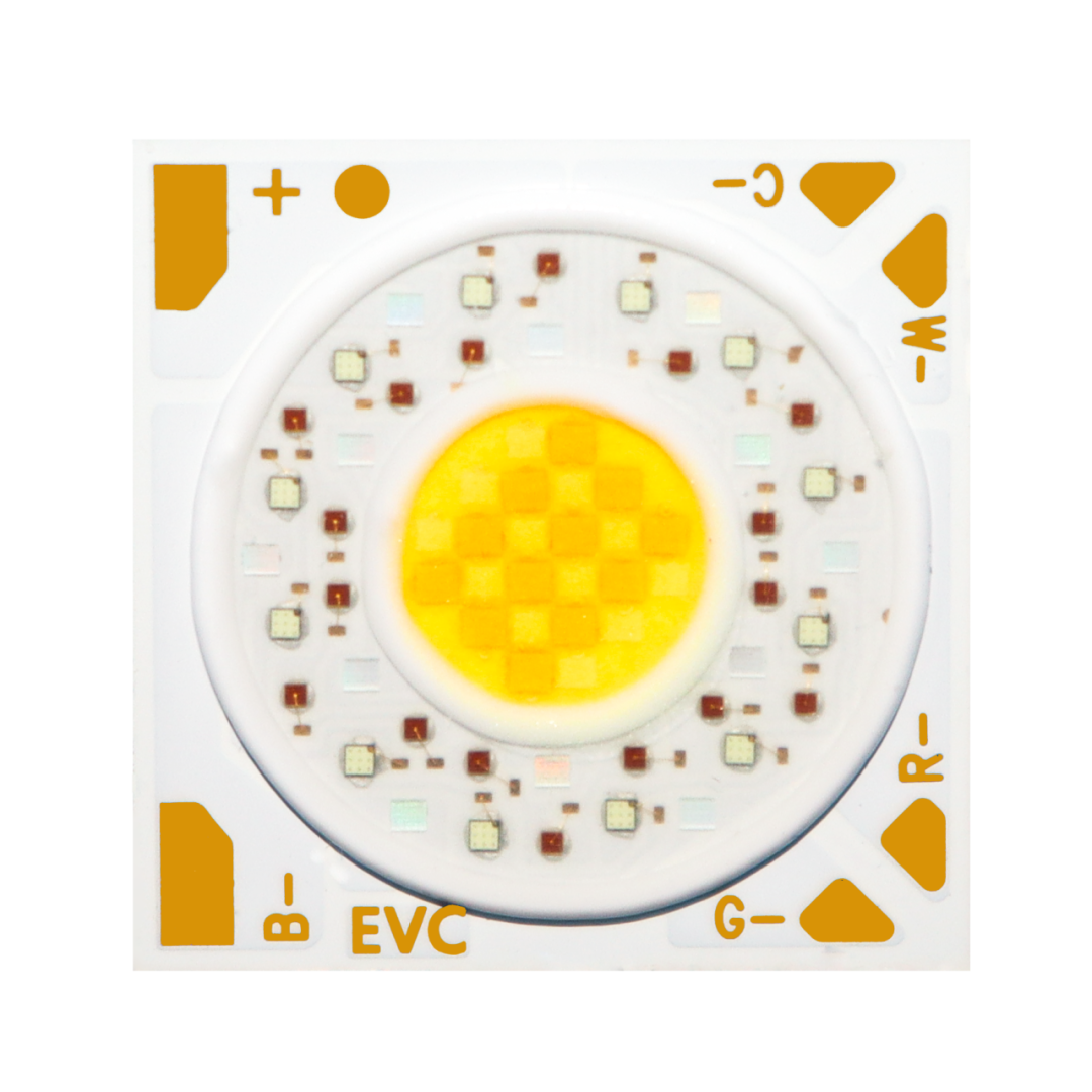 Evercore Introduction