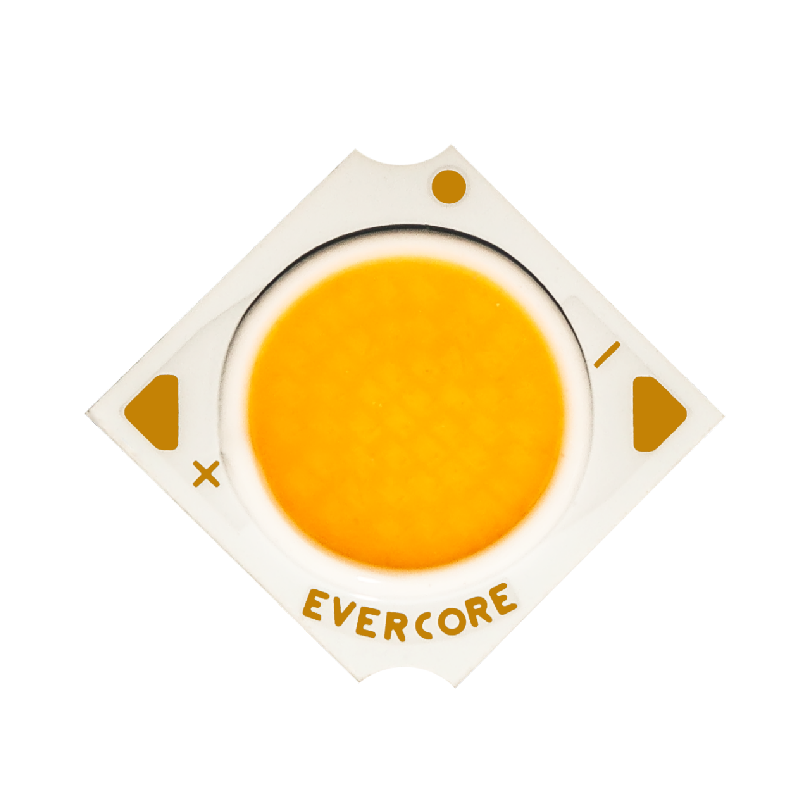 Evercore Introduction