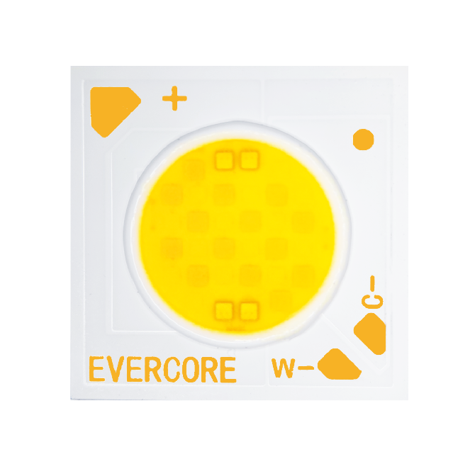 Evercore Introduction