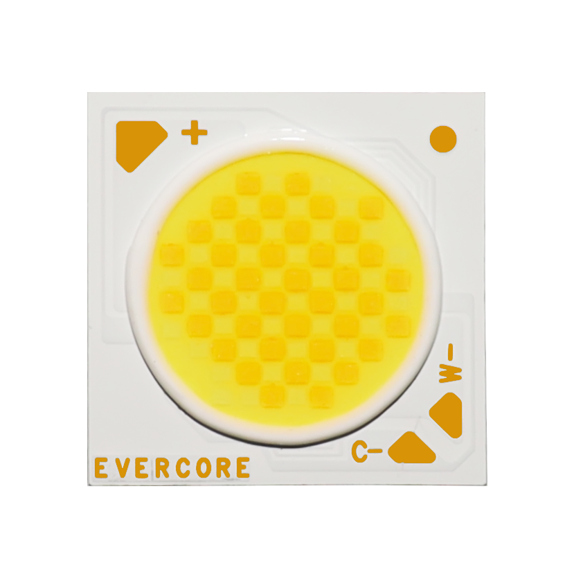 Evercore Introduction