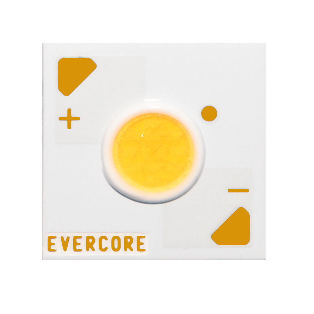 Evercore Introduction