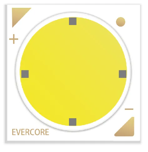 Evercore Constant Voltage COB Series Special Topic Evercore Constant Voltage COB Series Special Topic