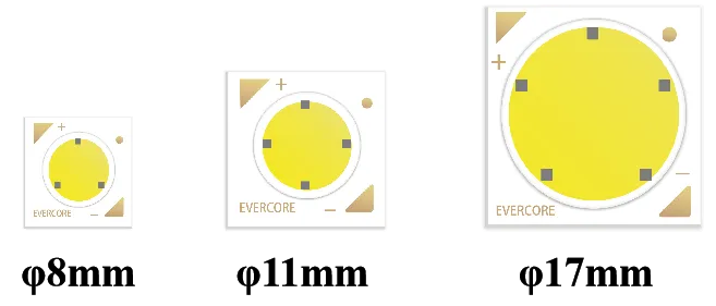Evercore Constant Voltage COB Series Special Topic Evercore Constant Voltage COB Series Special Topic